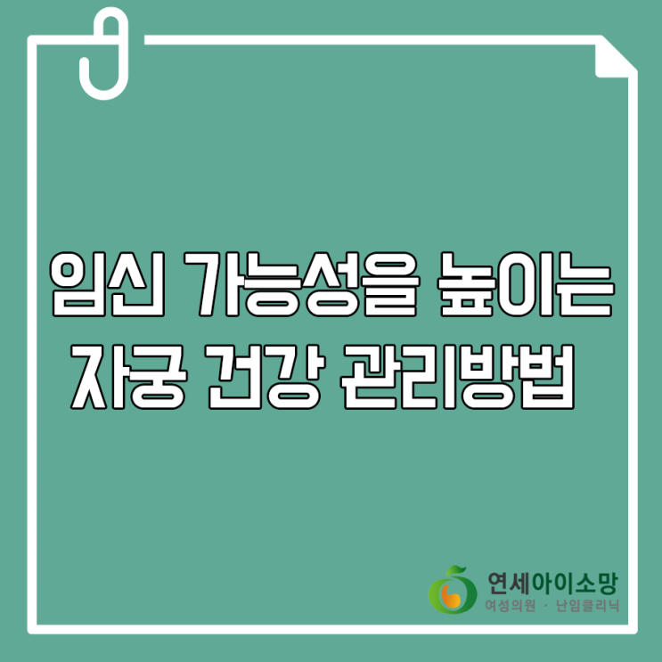  임신 가능성을 높이는 자궁 건강 관리방법