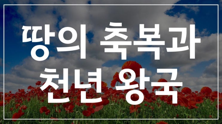  새일교회 | 땅의 축복과 천년왕국