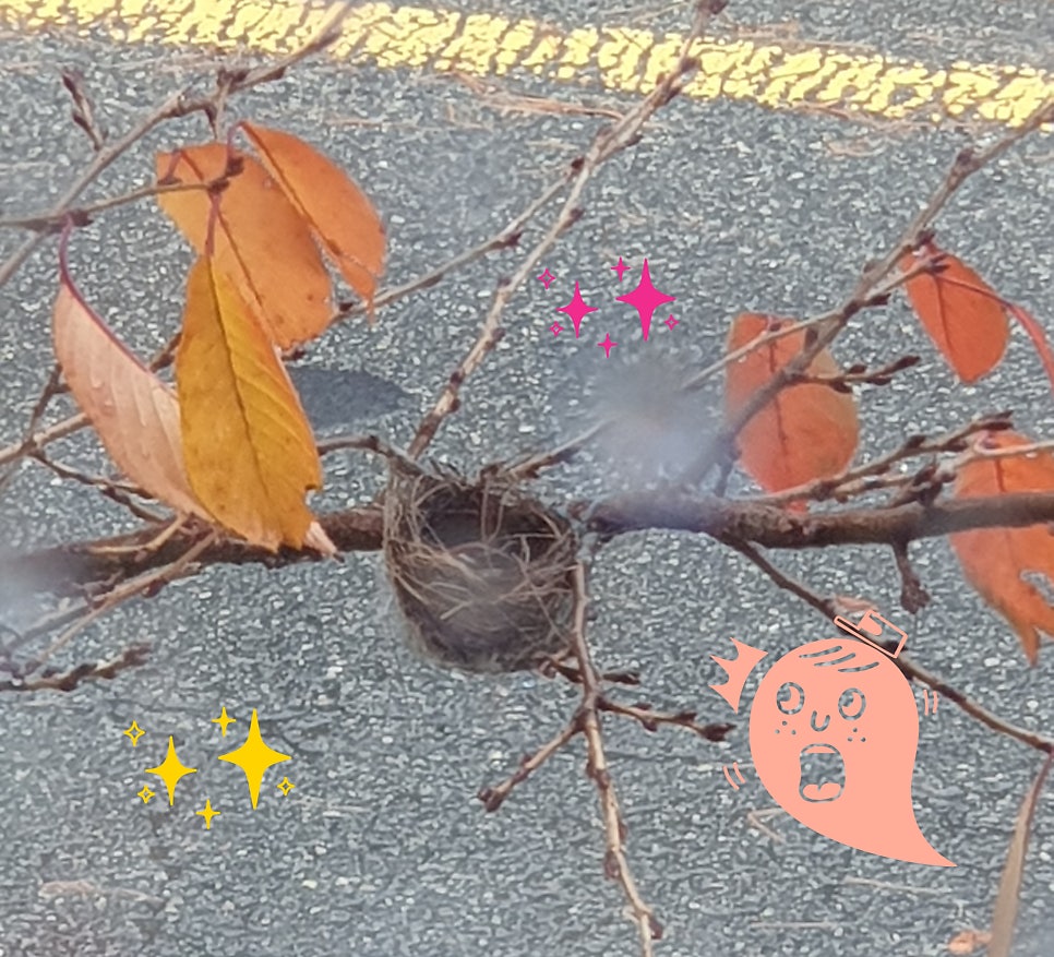 Sangaru photo 3
