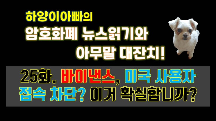  [아무말대잔치] 25화. 바이낸스, 미국 사용자 접속 차단? 이거 확실합니까?