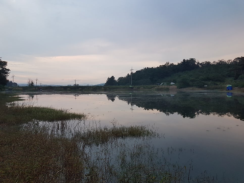 때지 사진 4
