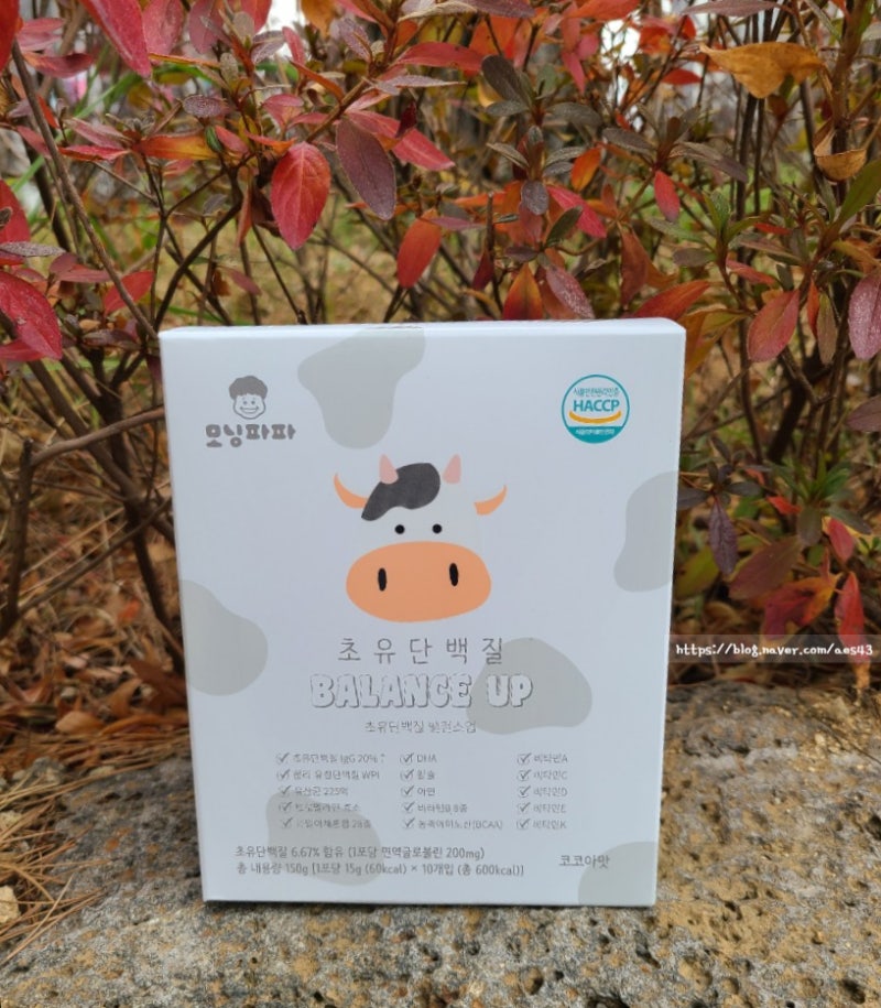 키크는영양제추천 초등학생영양제 모닝파파 초유단백질밸런스업 우유와 같이 마셔요 2