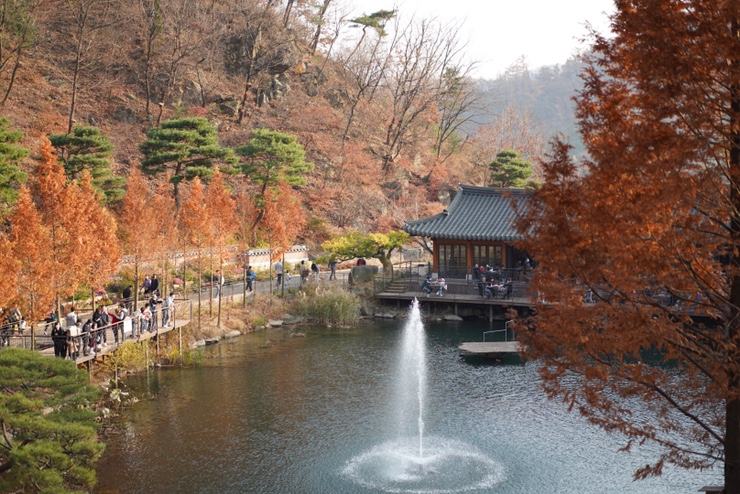  서울근교나들이,화담숲 곤지암!가을산의 단풍 구경, 미리예약하고 가기