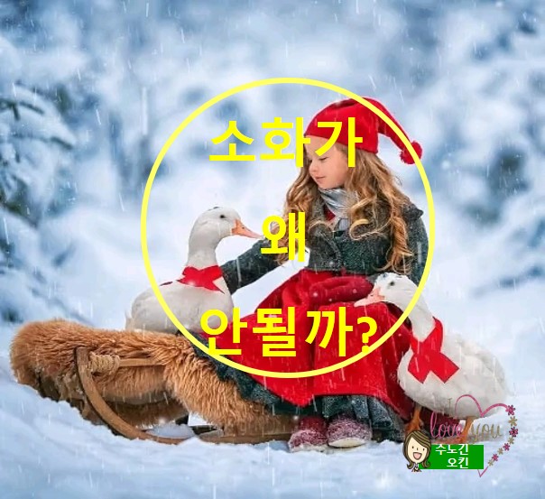  겨울에 소화가 안되는 이유는 무엇 때문일까요?