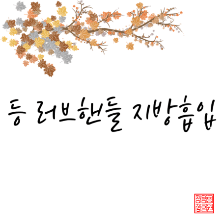 등 러브핸들 지방흡입