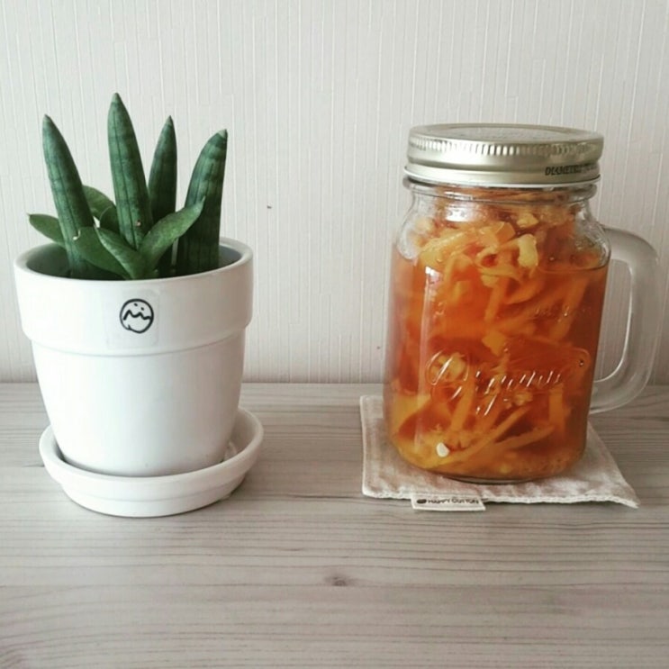  노마드대첩 일상 이야기