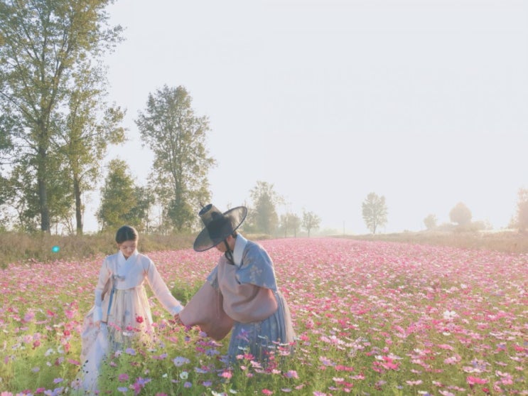  트위터 가입