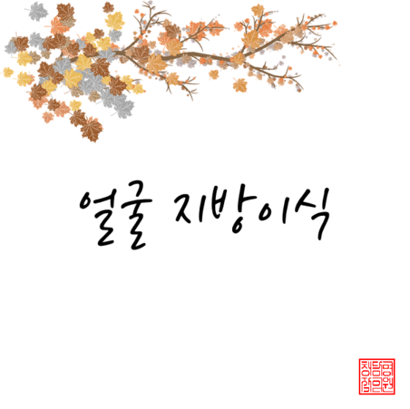  얼굴 지방이식
