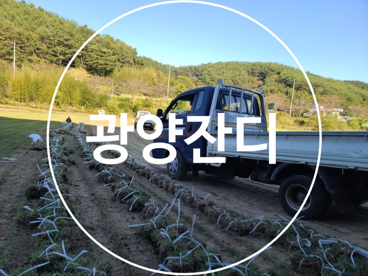  빛과 볕의 도시 광양 잔디 구매하러 오셨어요