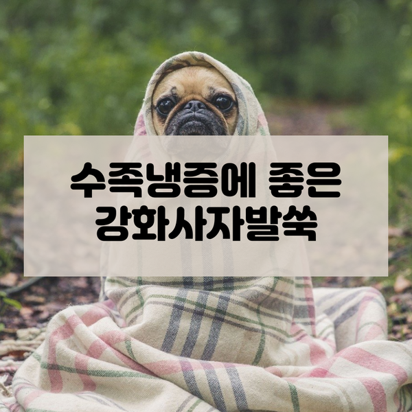  [건강즙]추운겨울 수족냉증에 좋은 강화사자발쑥즙 반년이상 먹은 후기