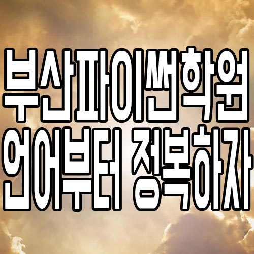  부산파이썬학원 : 프로그래밍언어부터 공부하자