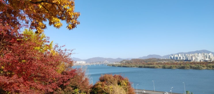  코로나 바이러스에 안전지대는 어디인가? 3차확산을 막을수는 없을까?
