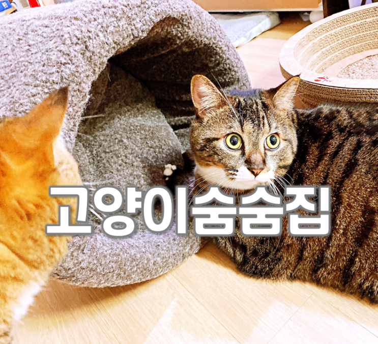  고양이숨숨집 펫디아 엄마품 하우스 고양이방석