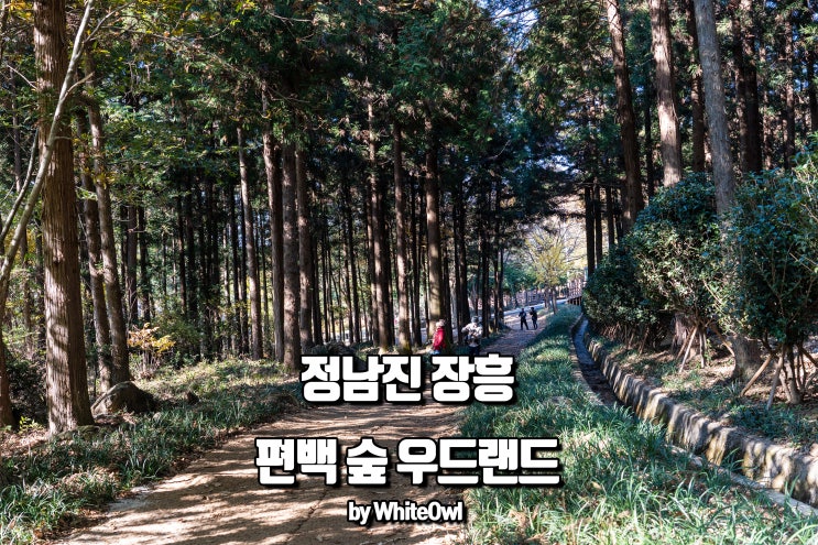  정남진 장흥 가볼만한곳 편백숲 우드랜드 걷기 좋은 힐링코스