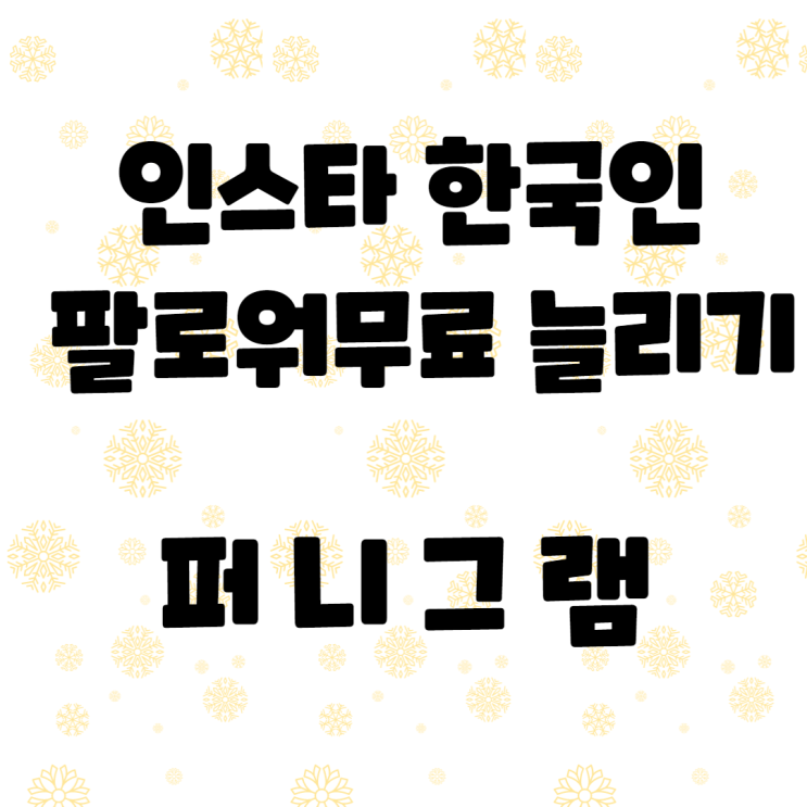 인스타 한국인 팔로워 퍼니그램에서 무료 늘리기 사용후기