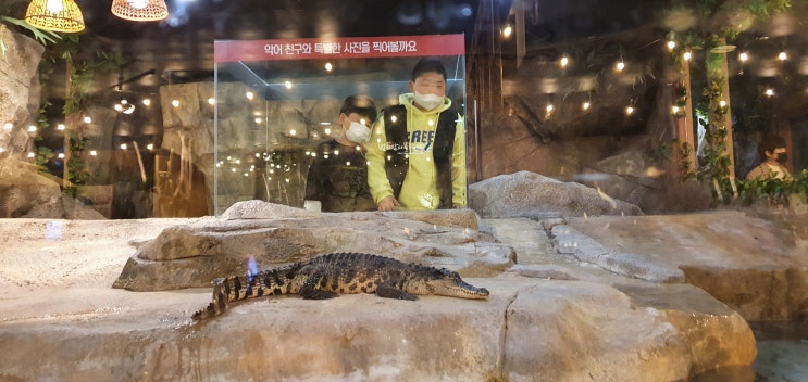  부산실내동물원,아이와갈만한곳