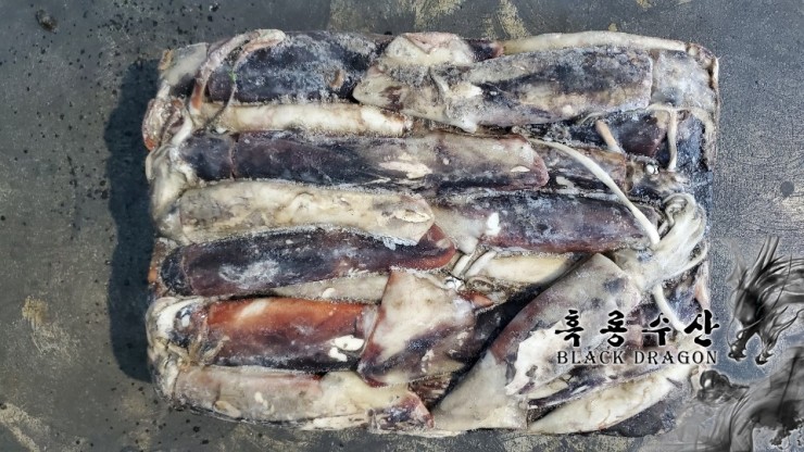  중국산 선동 적도오징어 500g 이하 _ Feat. 흑룡수산