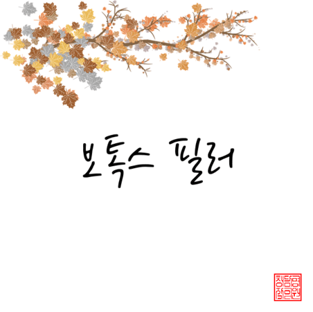  보톡스 /  필러