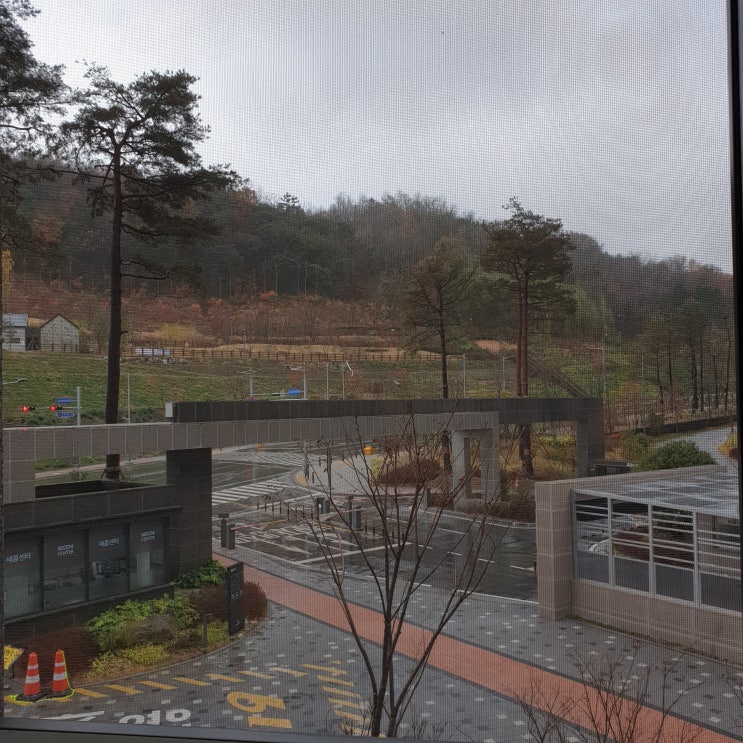  일상블로그》스파게티가 먹고 싶은날.......