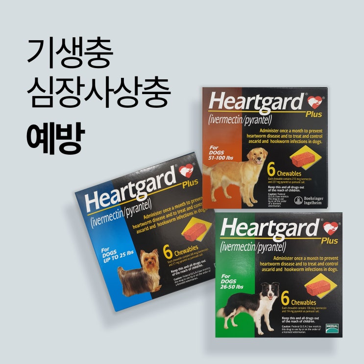 먹이는 강아지 심장사상충 예방약 기생충약 / 하트가드 츄어블