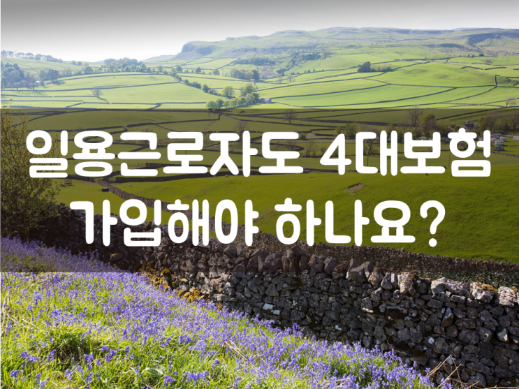 일용근로자도 4대보험 가입해야 하나요?