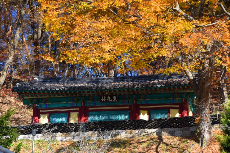  참 아름다운 단풍과 어우러는 장곡사