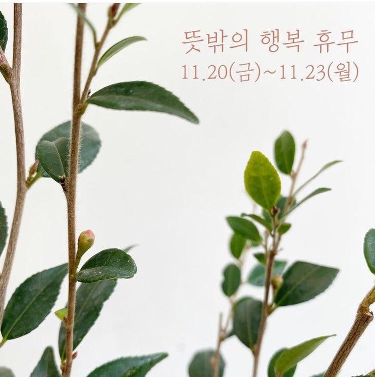  뜻행 휴무 안내