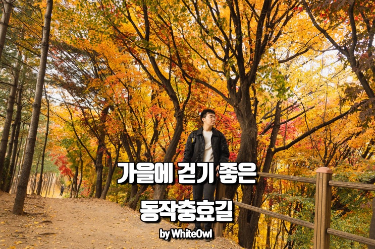  가을에 걷기 좋은 동작충효길 (현충원길과 고구동산길)