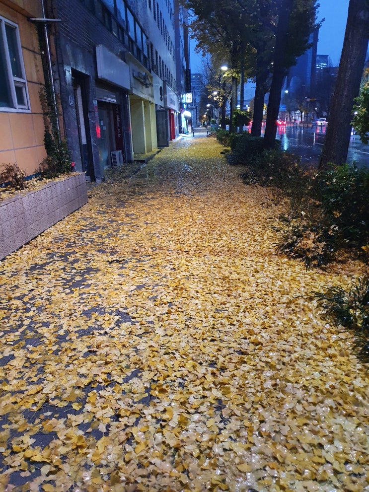  출근길...