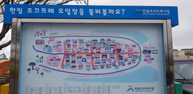  제주시 한림오일장 다육이사러 다녀왔어요~~(4일9일)