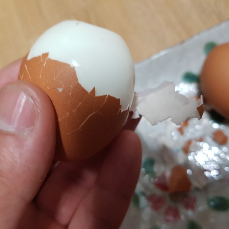  삶은계란보다 맛있었던 반숙계란 양지푸드 반숙씨 반숙란 주문해서 먹어본 후기