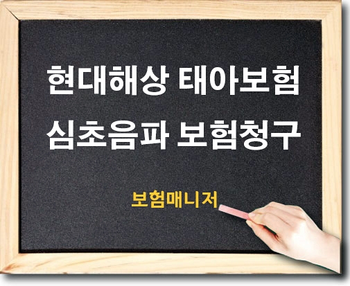  태아보험 심잡음으로 인한 심장초음파 검사 보험청구