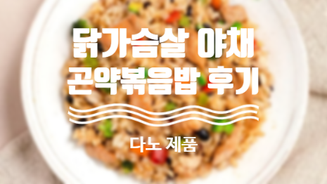  다이어트 도시락 만들기 다노 닭가슴살 야채 곤약볶음밥