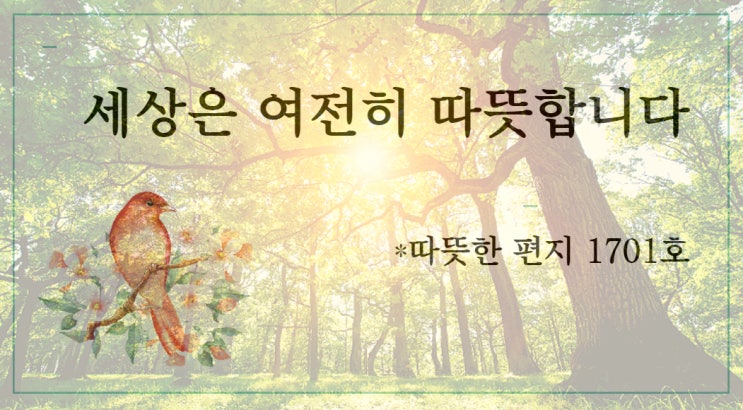  세상은 여전히 따뜻합니다 *따뜻한 편지 1701호
