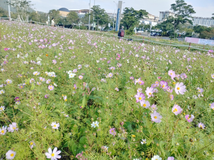 가족 모두 함께 할 수 있는 제주도 여행 코스 - 두번째 이야기