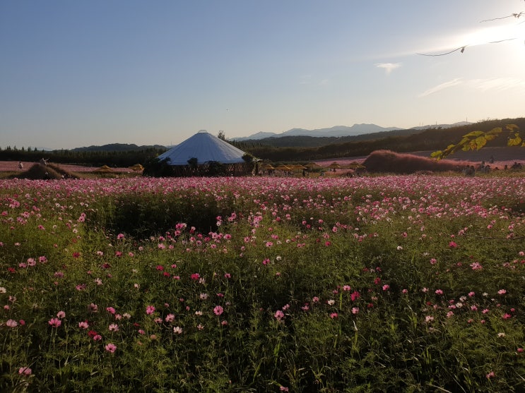  후기톡::궁금해서 내돈내고 직접 해본 내돈내산 찐 후기