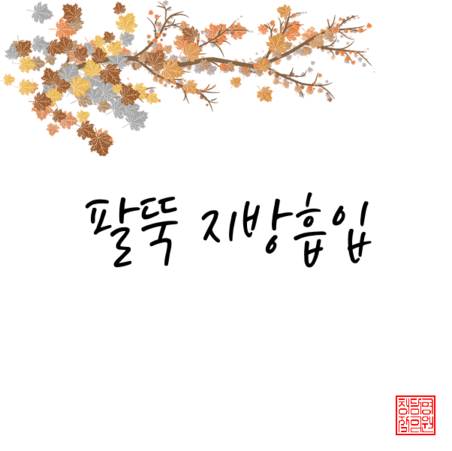  팔겨부 지방흡입