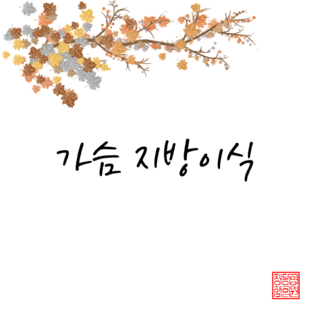  가슴 지방이식