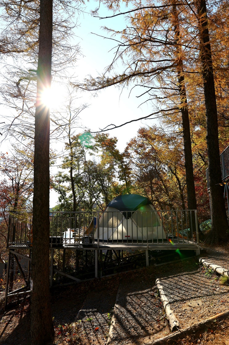  경주 문복산 캠핑장 리뷰 편