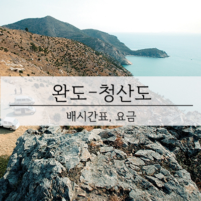  완도 청산도 배편 요금 배시간 예약 방법