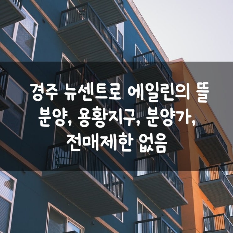  경주 뉴센트로 에일린의 뜰 분양, 용황지구, 분양가, 전매제한 없음