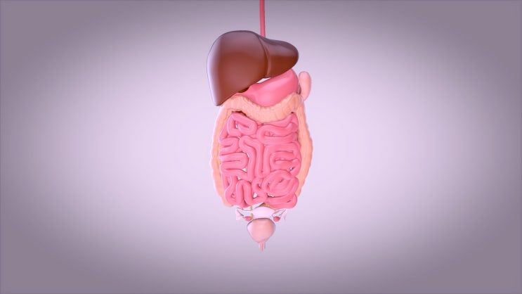 광동 남심(男心), 남편한테 칭찬받는 또다른 방법