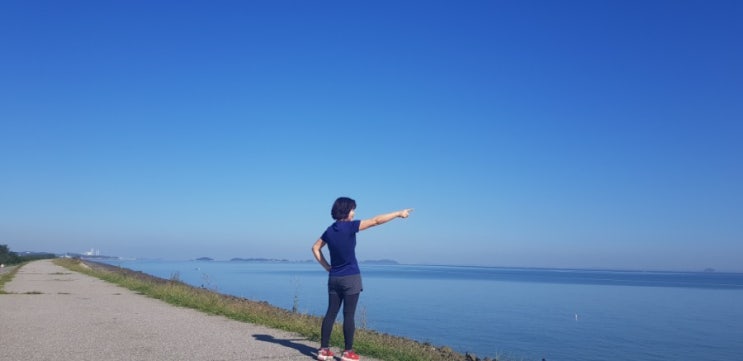  천방지축 새로 시작(도전)한 것들