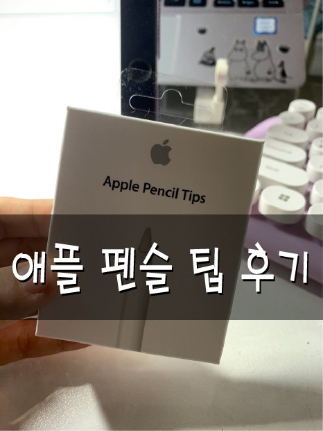 [Review] 애플 펜슬 팁 후기_역시 정품..!