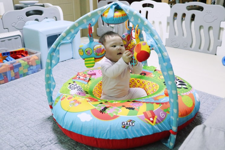 아기돌선물, 아기장난감 앰비토이즈 플레이네스트앤짐팜