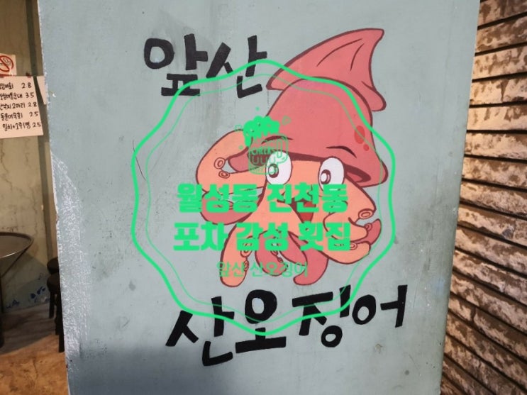 월성동 진천동 포차 감성 횟집 앞산 산오징어