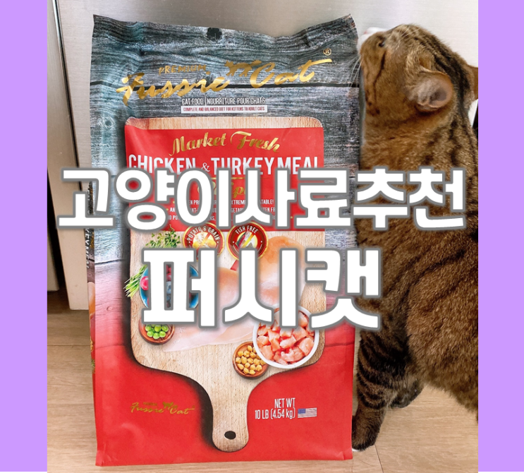  고양이사료 추천 퍼시캣 연어&치킨