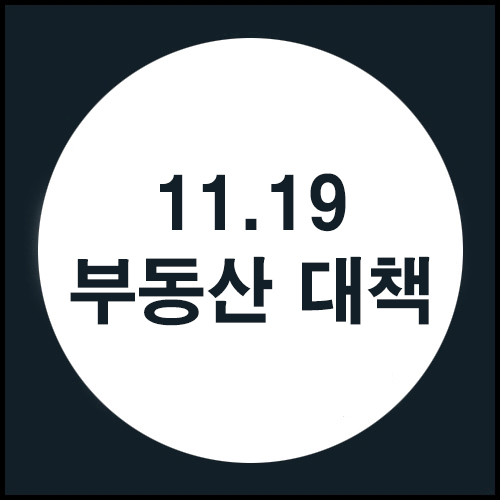  11.19 부동산 대책이 나왔습니다.
