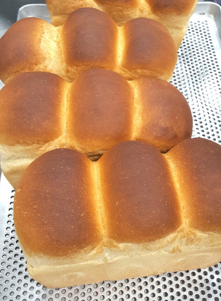  제과제빵 스타트