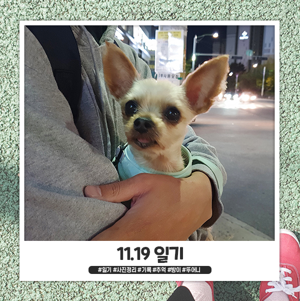 11.19_기록 11.19_기록